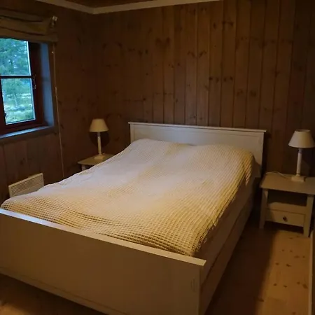 Moderne Hytte For 10 Personer Rendalen
