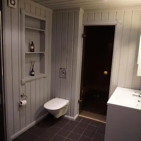 Moderne Hytte For 10 Personer Nyaraló Rendalen
