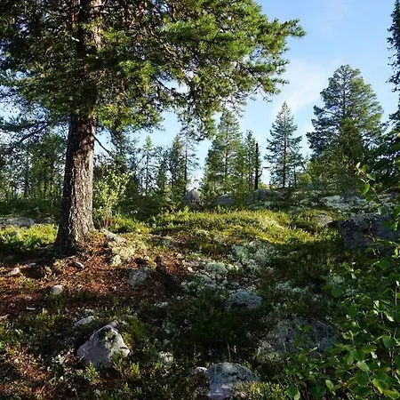 Nyaraló Moderne Hytte For 10 Personer Rendalen