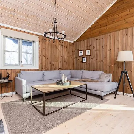 Moderne Hytte For 10 Personer Rendalen